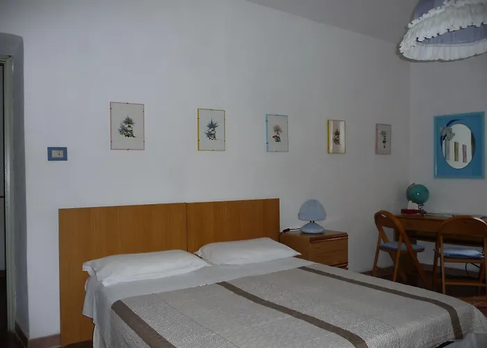 B&B Selisa